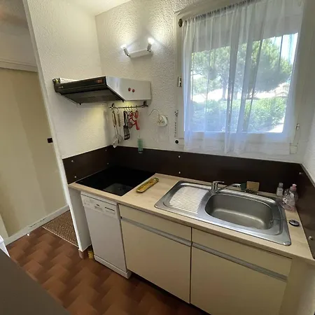 T3 Calme Avec Terrasse, Clim Et Parking Proche - Fr-1-106-45 * Saint-Cyprien (Pyrenees-Orientales)