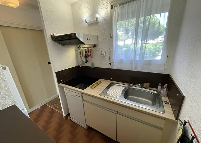 T3 Calme Avec Terrasse, Clim Et Parking Proche - Fr-1-106-45 * Saint-Cyprien (Pyrenees-Orientales)